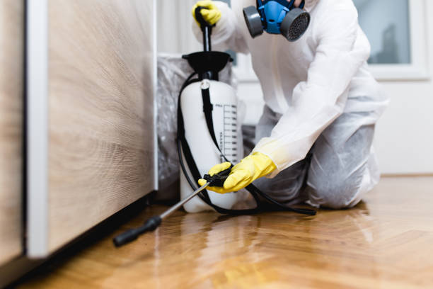  Groveland, FL Pest Control Pros