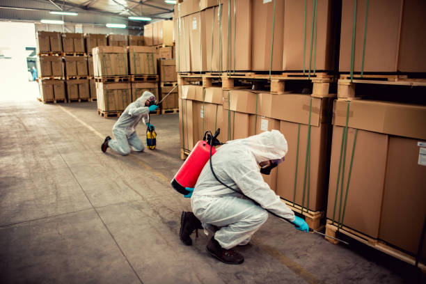 Best Flea Control Services  in Groveland, FL
