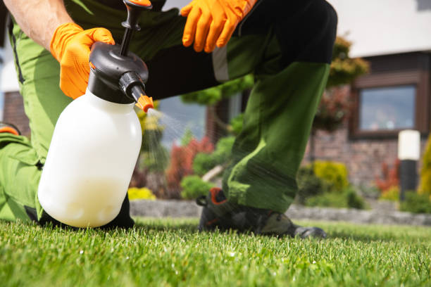 Best Pest Removal Services  in Groveland, FL