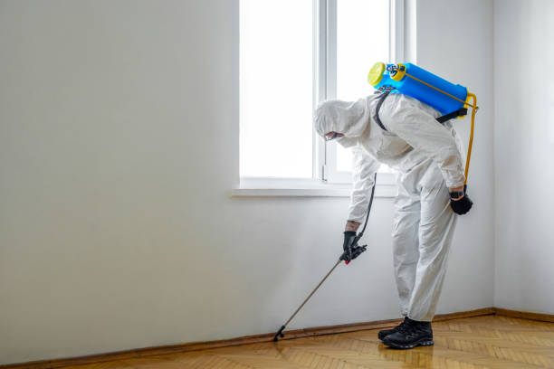 Best Affordable Pest Control Services  in Groveland, FL