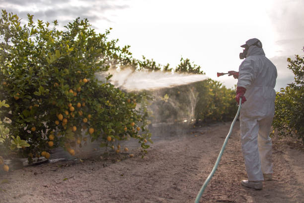 Professional Pest Control in Groveland, FL