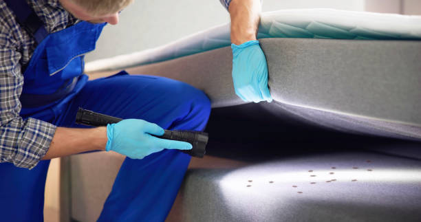 Best Commercial Pest Control Services  in Groveland, FL